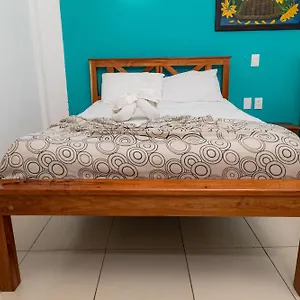 Palmas En Laurel Cancún